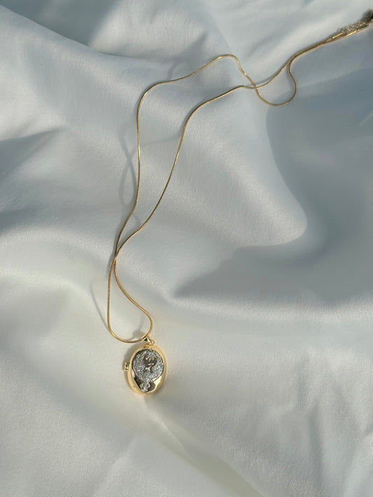 Kapaklı Oval Alya Anka Kuşu Kolye (65 cm zincir)