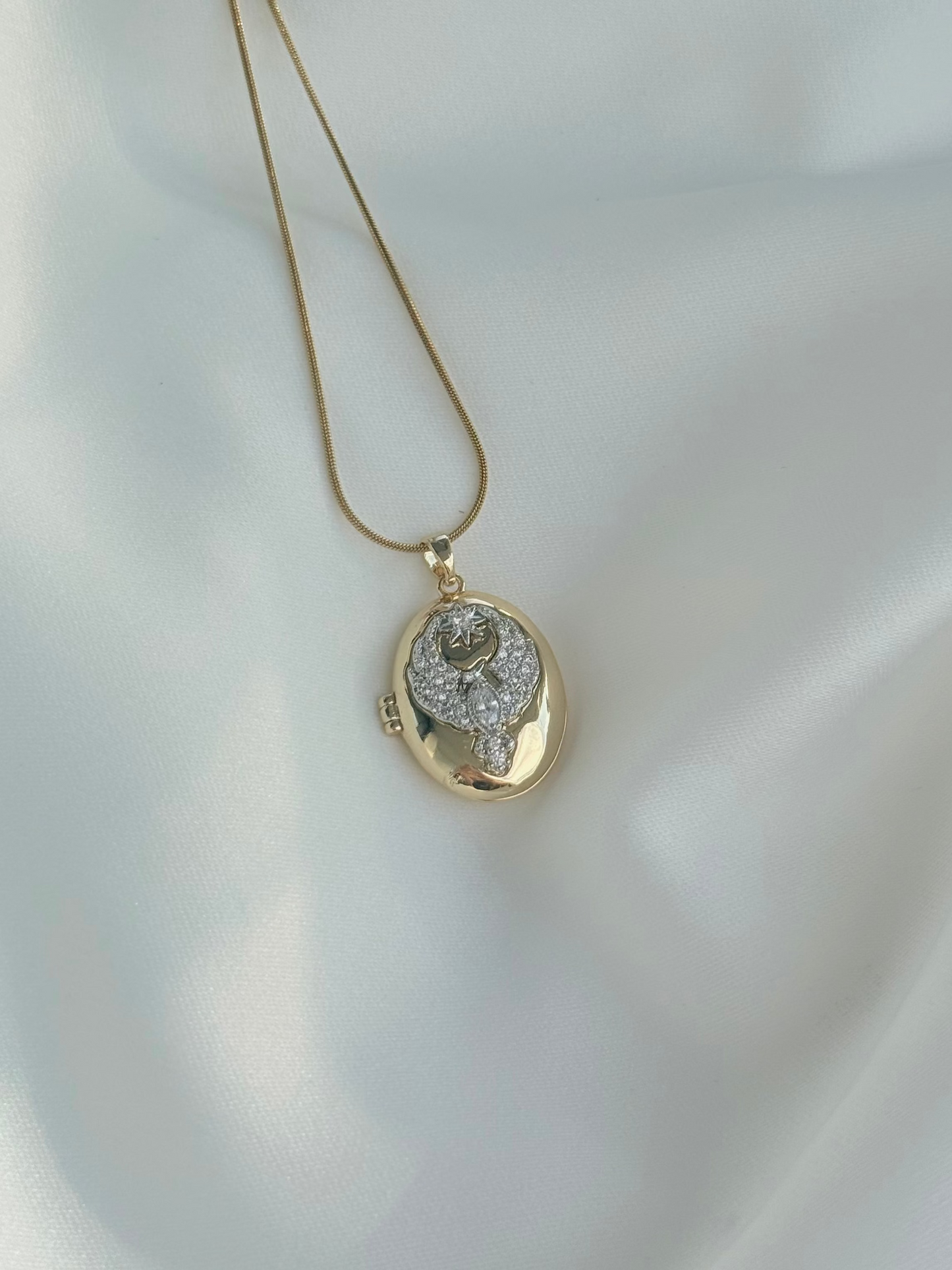 Kapaklı Oval Alya Anka Kuşu Kolye (65 cm zincir)